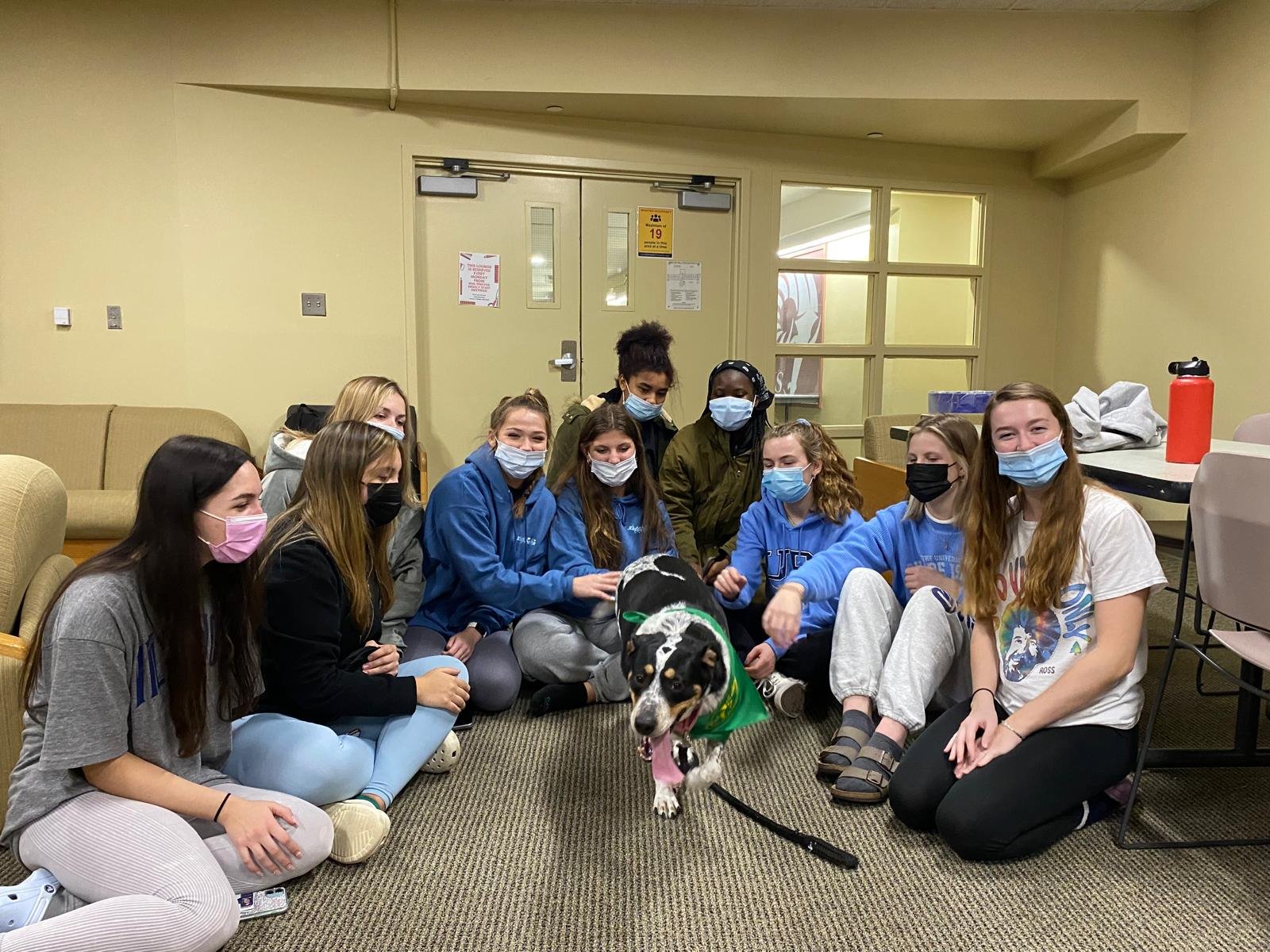 A Soul Therapy Dogs session in a community living setting