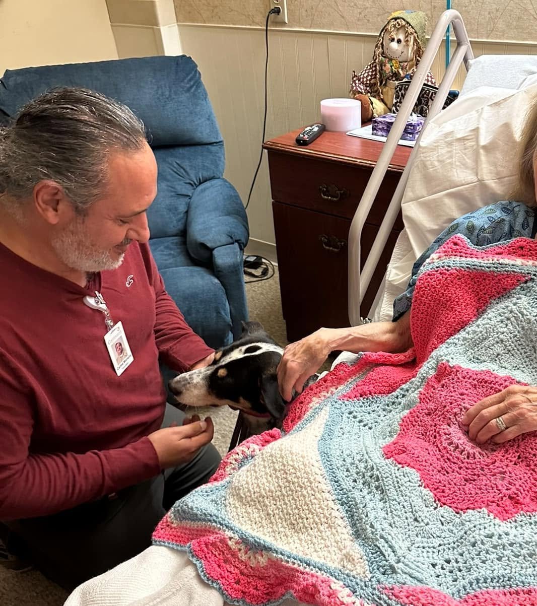 A therapy dog visiting a resident in a care setting