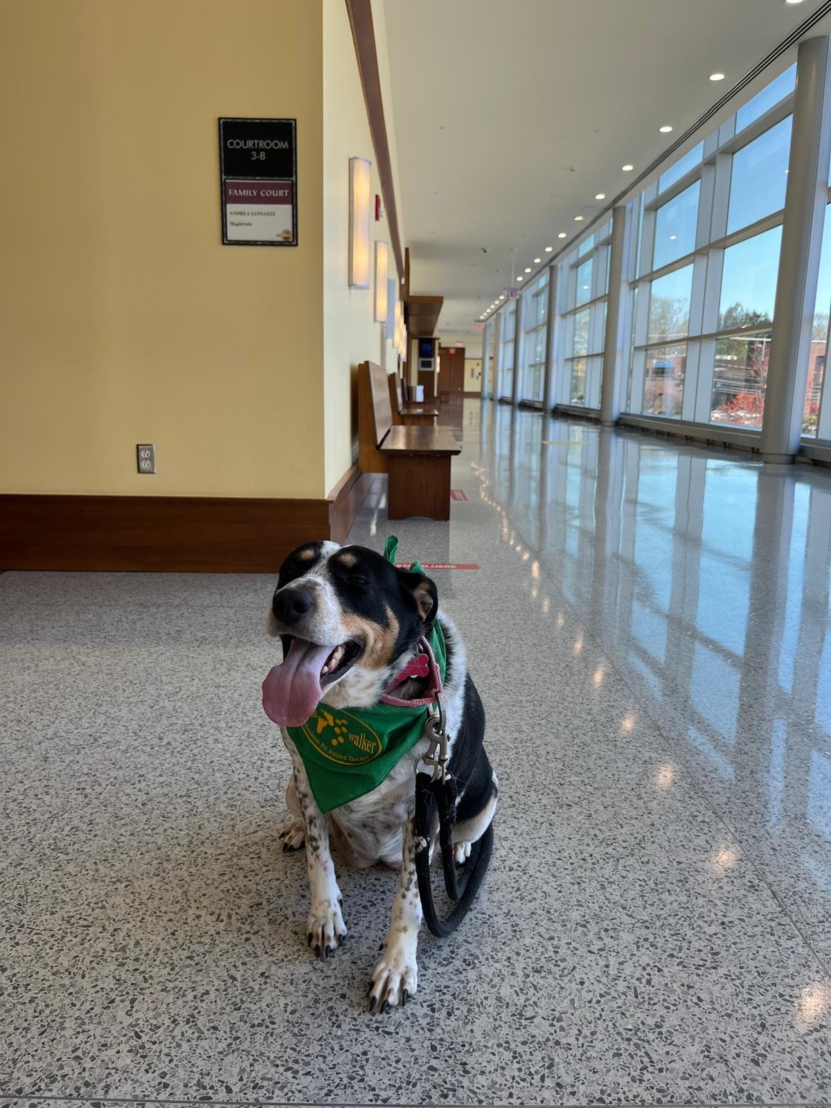 Mia wearing a National Adoption Day bandana inside the event venue