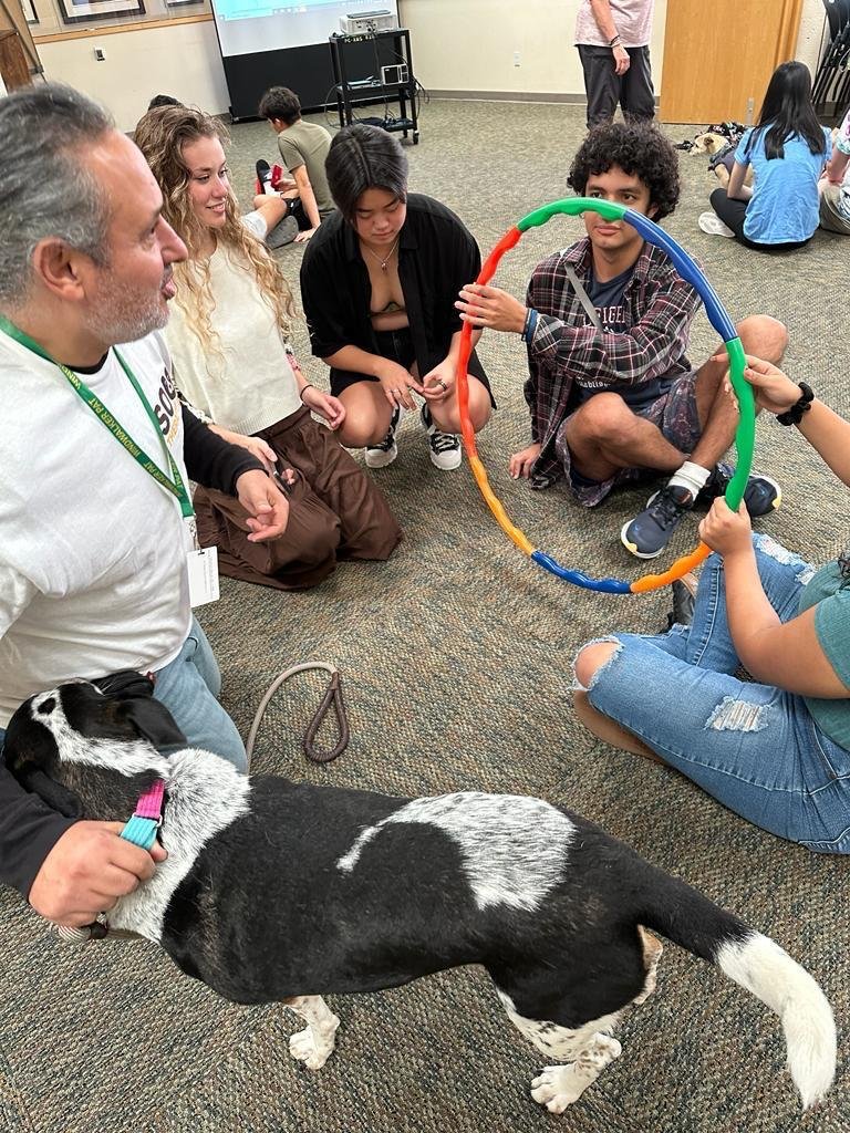 Carlos Moriella and participants using colorful hoops during a structured activity with a dog